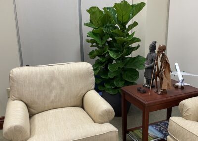 Introduce Plants Into Your Office