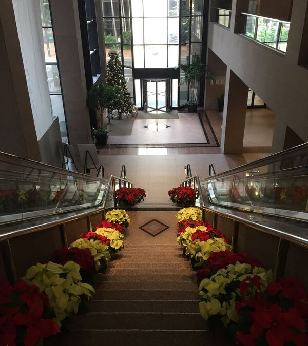 5 Reasons Why You Should Hire an Interior Landscaper for Your Holiday Decorating