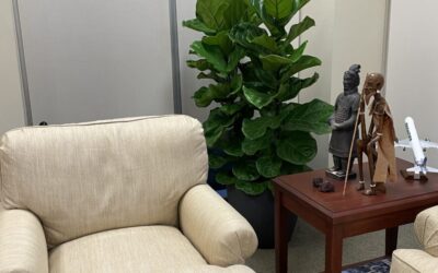 Introduce Plants Into Your Office