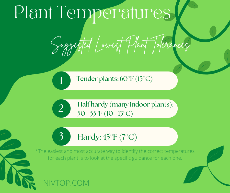 Plants Thrive in Proper Temperatures
