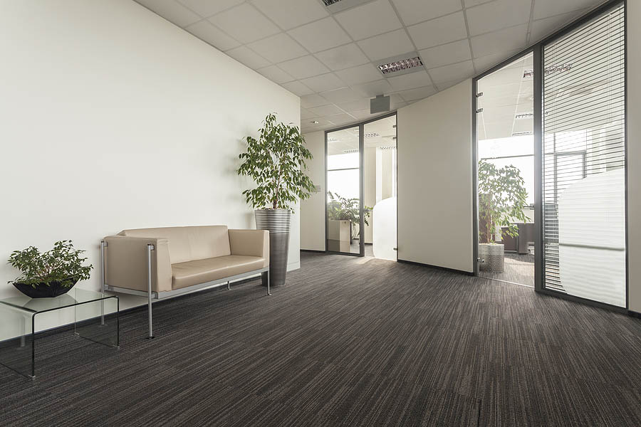 Office Plants in corridor, workspace plants, plant rental, Florida