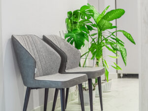 using plants in your reception area