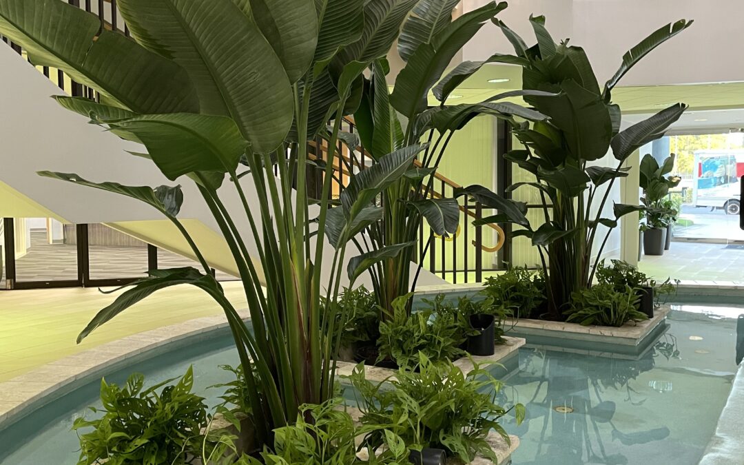 Benefits of Interior Landscaping