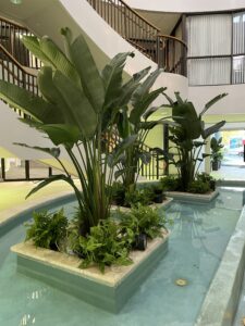 Benefits of Interior Landscaping 