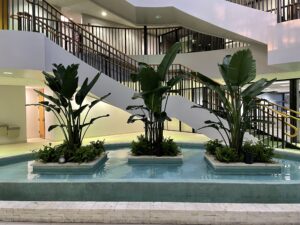 Nivtop Creations A Passion For Plants
