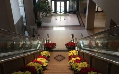 5 Reasons Why You Should Hire an Interior Landscaper for Your Holiday Decorating