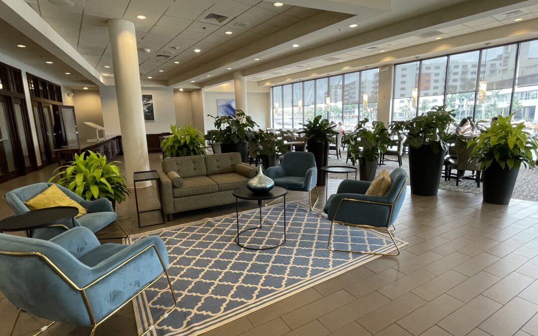 The Best Live Plants for Hotel Reception Areas in Tampa Bay