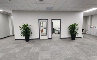 Understanding Interior Landscaping and the Importance of Live Plants in Indoor Spaces