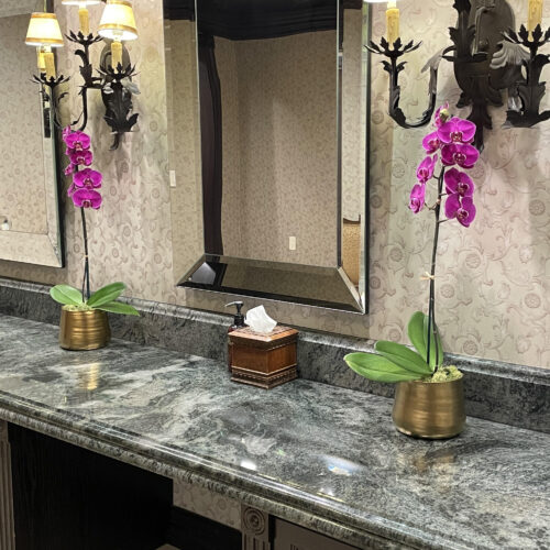 Why Orchids Are Preferred Interior Plants in Hospitality Businesses