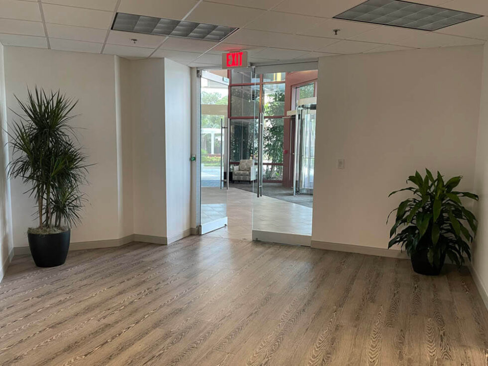 Office plants at entry points