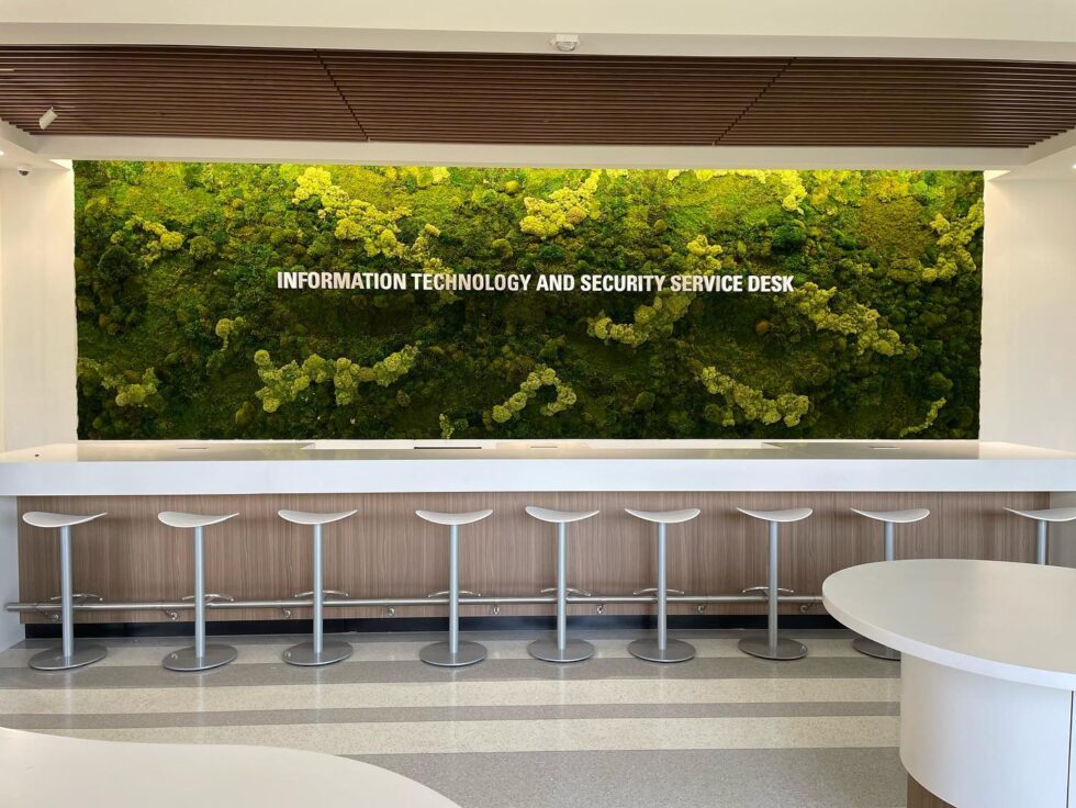 live green wall display, moss, interior landscaping, office plants, Tampa, Florida