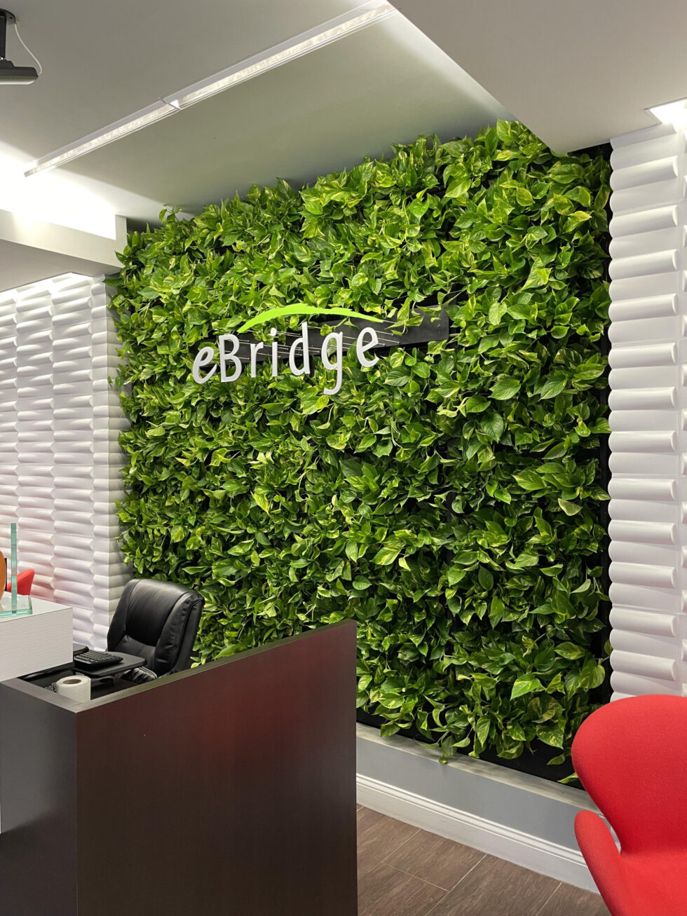 live green wall display, ivy, interior landscaping, office plants, reception area plants, Tampa, Florida