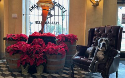 Why You Should Plan and Contract Your Business’s Holiday Decorating in the Summer