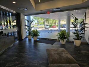 Plant Maintenance Tips for Healthier, Hassle-Free Green Spaces