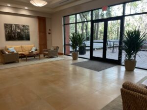 Plant Maintenance Tips for Healthier, Hassle-Free Green Spaces