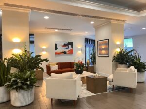Plant Maintenance Tips for Healthier, Hassle-Free Green Spaces