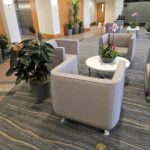 Plant Maintenance Tips for Healthier, Hassle-Free Green Spaces