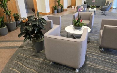 Plant Maintenance Tips for Healthier, Hassle-Free Green Spaces