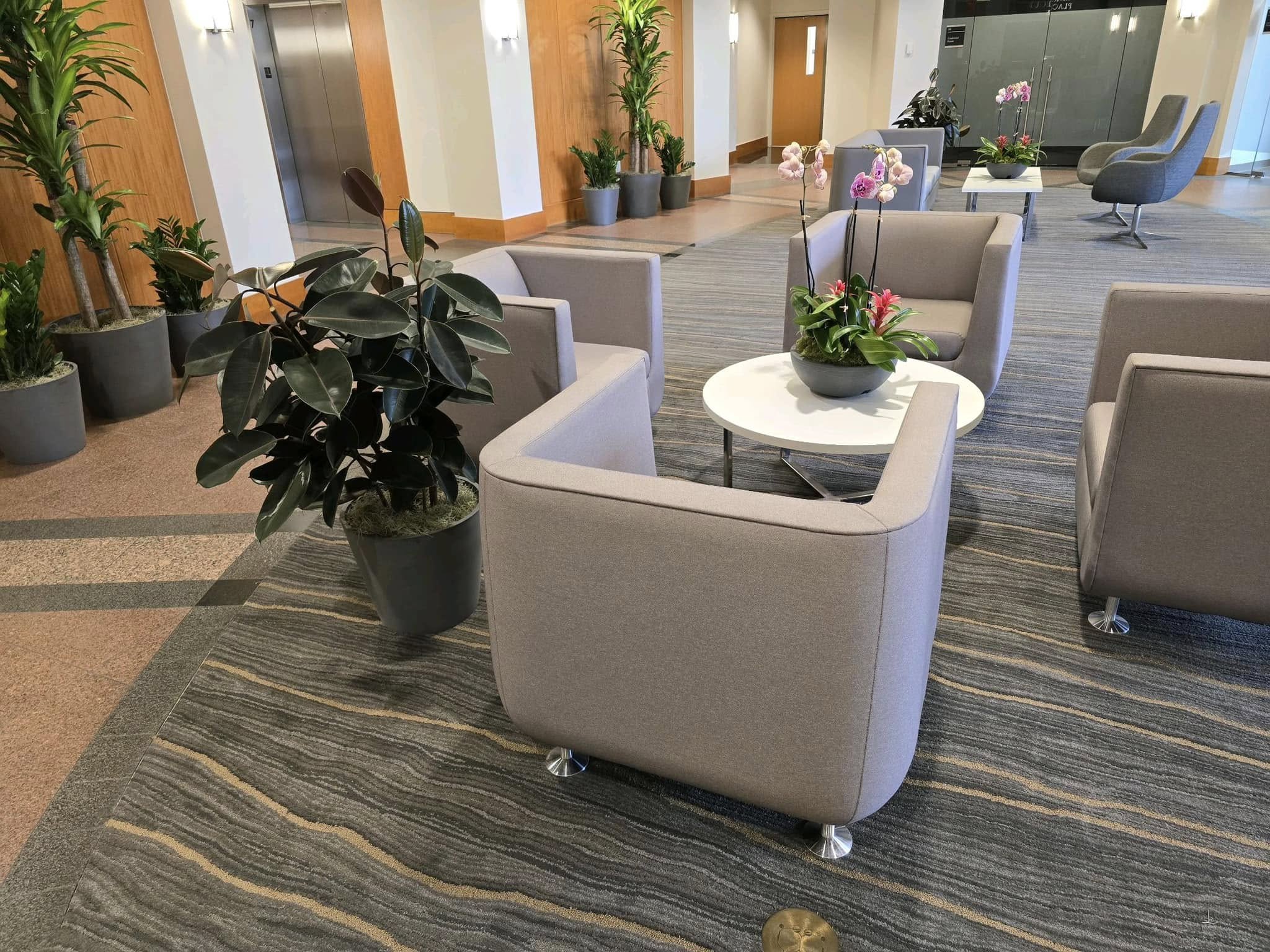 Plant Maintenance Tips for Healthier, Hassle-Free Green Spaces