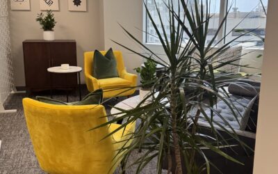 Creating a Welcoming First Impression: The Business Case for Professional Plant Maintenance