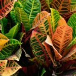 Bring the Colors of Fall Inside with Nivtop Creations