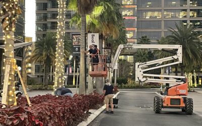 Make the Holiday Season Shine with Holiday Decorating Packages