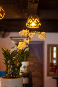 Bring the Colors of Fall Inside with Nivtop Creations