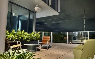 Live Plants Refresh Your Office for the New Year