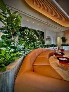 live plants refresh your office