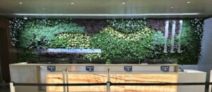 a Living Wall is the Ultimate Lobby Upgrade