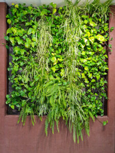 a Living Wall is the Ultimate Lobby 