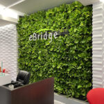 a Living Wall is the Ultimate Lobby