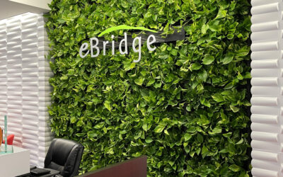 A Living Wall is the Ultimate Lobby Upgrade