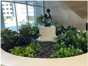 Why Live Plants Should Be Part of Your Office's New Year Refresh