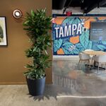 Spring into Green: Preparing Your Office for the Growing Season with Indoor Plants