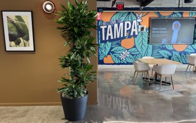 Preparing Your Office for the Growing Season with Indoor Plants