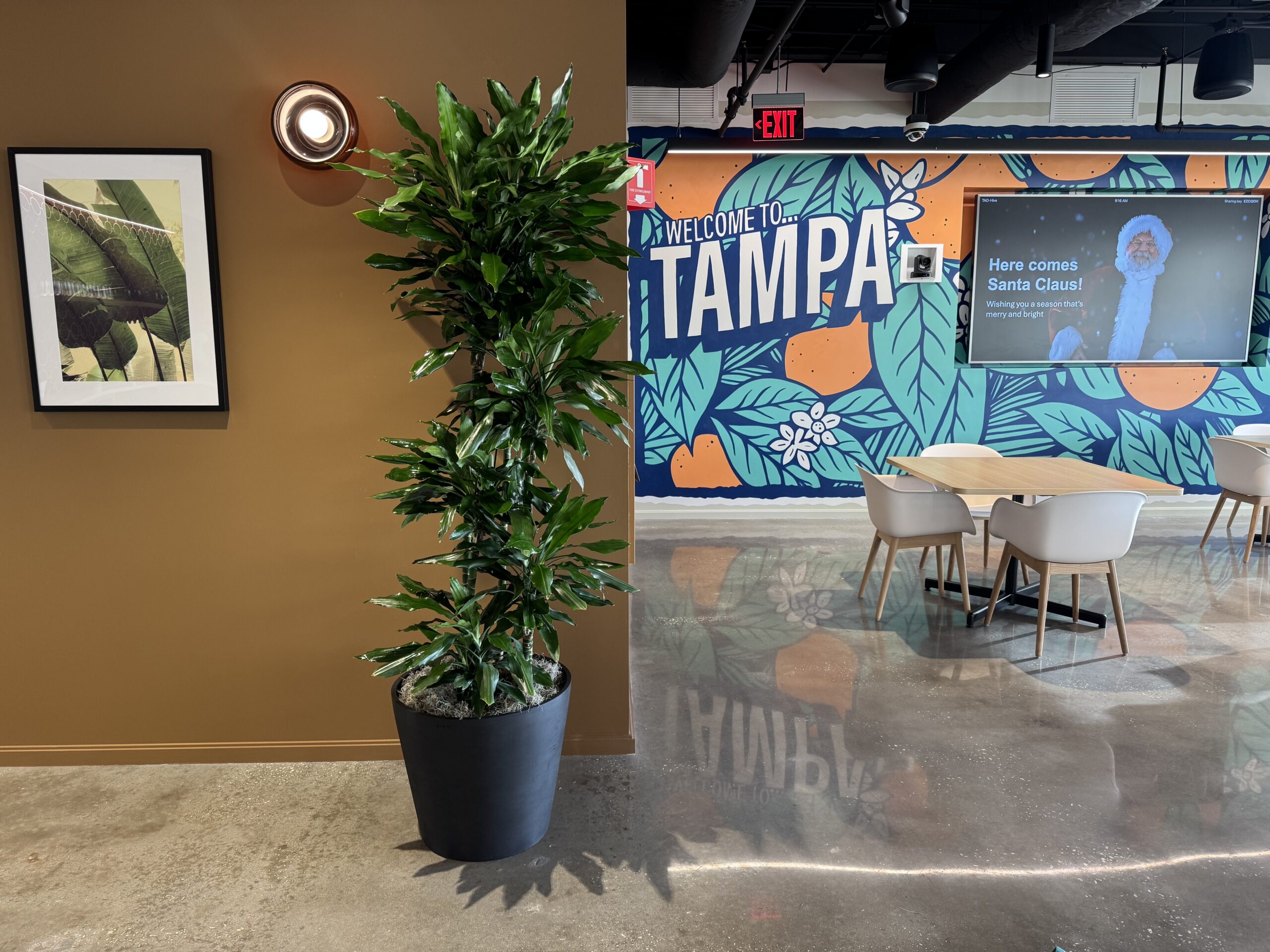 Spring into Green: Preparing Your Office for the Growing Season with Indoor Plants